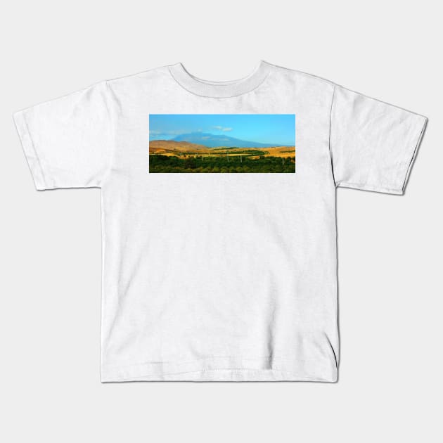 Sicilian Palette. Etna. 2011 Kids T-Shirt by IgorPozdnyakov